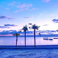 月亮湾湿地公园