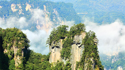 光雾山旅游景区第 61 张图片