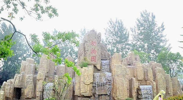 溱湖湾森林动物王国