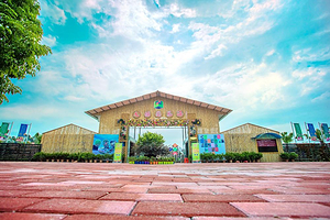 大埔围美丽乡村景区