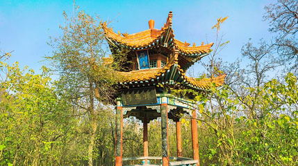 开封国家森林公园第 1 张图片