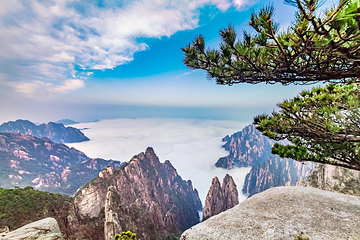 黄山风景区第 363 张图片