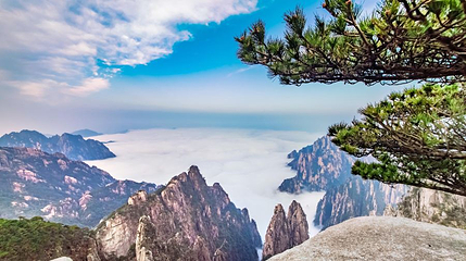 天海第 1 张图片