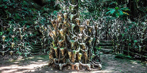 龙摩爷圣地第 14 张图片