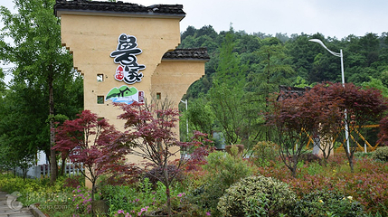 鲁家村第 2 张图片