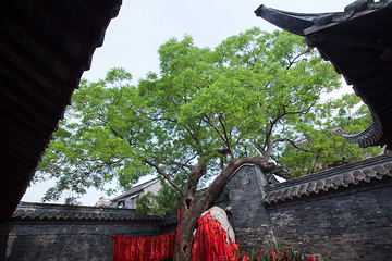 溱潼古镇第 21 张图片