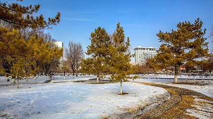 世纪公园第 1 张图片