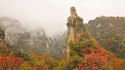 九路寨生态旅游区第 98 张图片