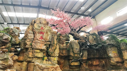 水师森林公园第 19 张图片