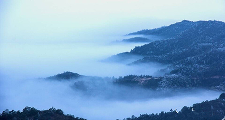 八卦脑景区第 30 张图片