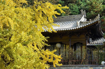 古观音禅寺第 9 张图片