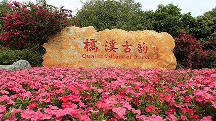 雁南飞茶田景区-桥溪古韵第 27 张图片