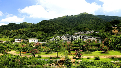 雁南飞茶田景区第 47 张图片