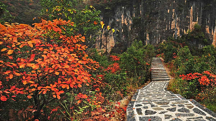 九路寨生态旅游区第 108 张图片