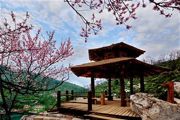 九如山休闲旅游度假区第 186 张图片