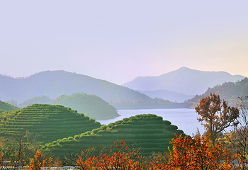 金华双龙风景旅游区第 60 张图片