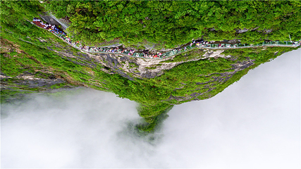 天门山国家森林公园第 145 张图片