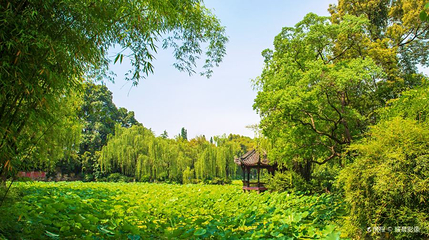 宝光桂湖文化旅游区第 1 张图片