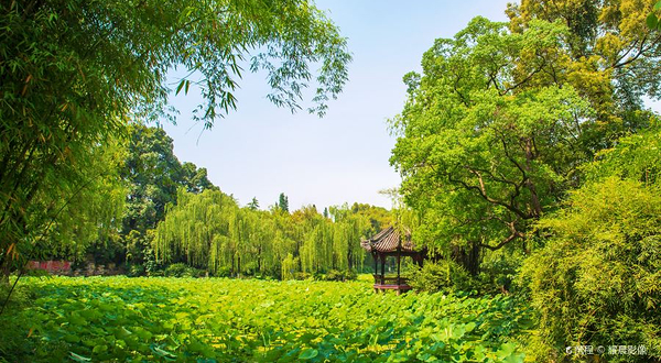 宝光桂湖文化旅游区