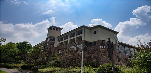 南山草原·森野集第 15 张图片