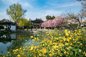 莫愁湖公园第 8 张图片