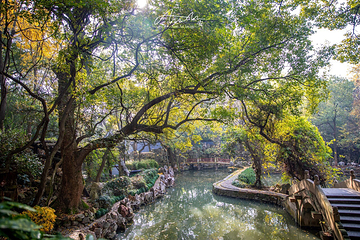 绮园景区第 41 张图片