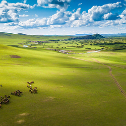 呼伦贝尔大草原