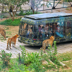 深圳野生动物园