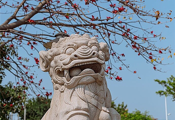 中国闽台缘博物馆第 12 张图片