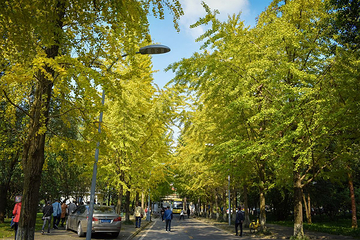 四川大学(望江校区)第 7 张图片