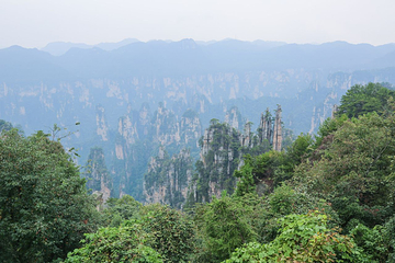 天子山风景区第 36 张图片