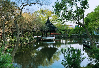 醉白池第 9 张图片