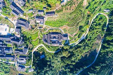 龙安新马温泉度假村第 2 张图片