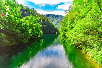 醉山野景区第 23 张图片