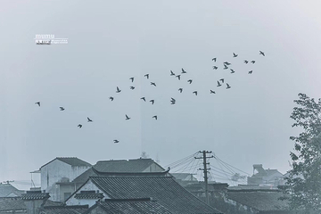 清名桥古运河景区第 36 张图片