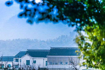 树山生态村第 44 张图片