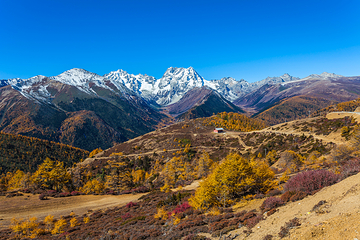 白马雪山第 8 张图片