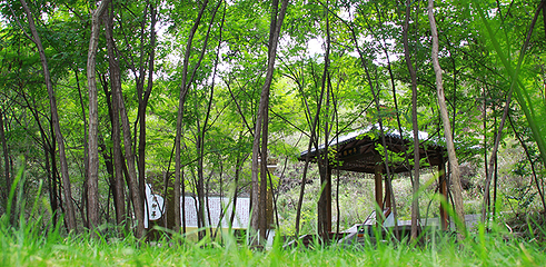 黄金寨原生态旅游区第 66 张图片