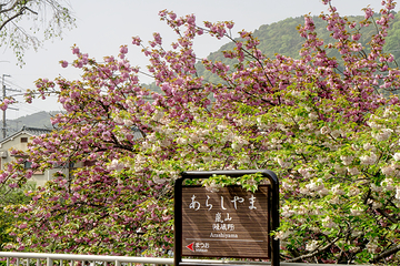 岚山第 45 张图片