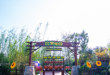 龙园旅游度假区第 70 张图片