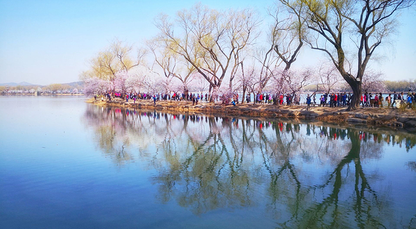 西堤(昆明湖路)