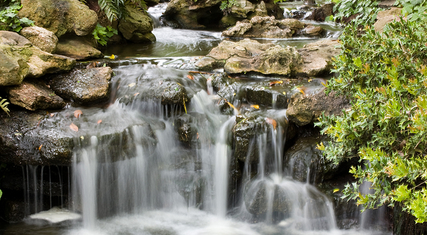 Fort Worth Water Gardens
