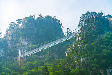 老界岭旅游度假区第 91 张图片