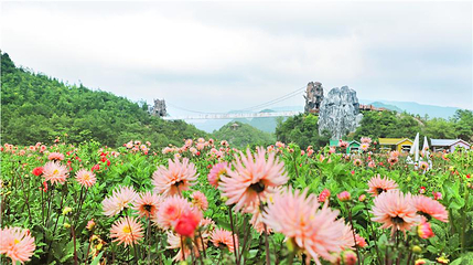 百里杜鹃风景区第 92 张图片