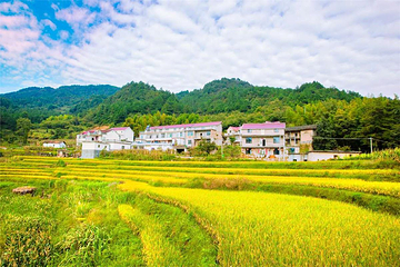 岳西金榜乡村第 6 张图片