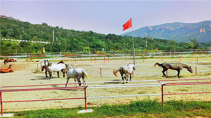 岩井寺第 8 张图片