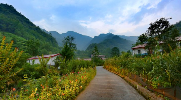 竹溪县杨家扒综合农场