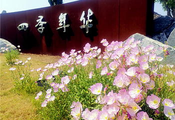 八卦洲陌上花渡第 61 张图片