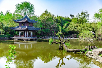水绘园第 8 张图片