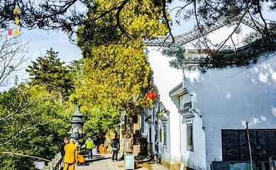 百岁宫第 3 张图片